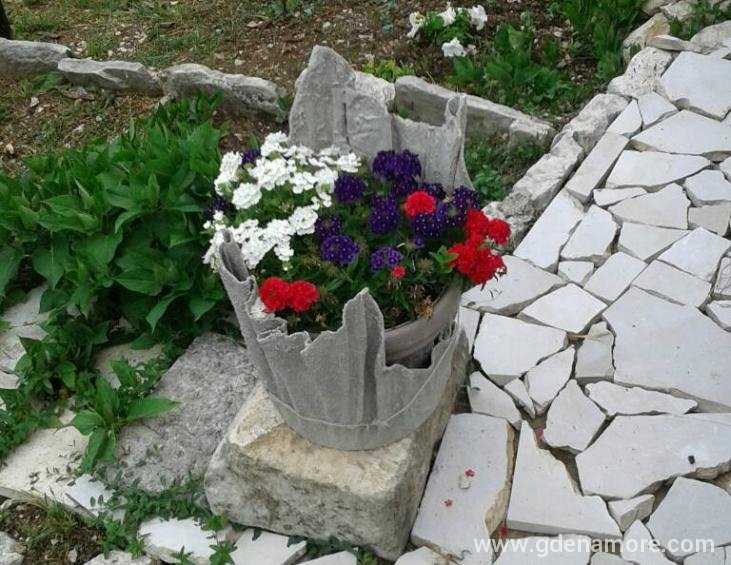 viber image05